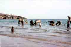 ���� ������ ��� ��� ����